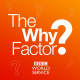 The Why Factor graphic